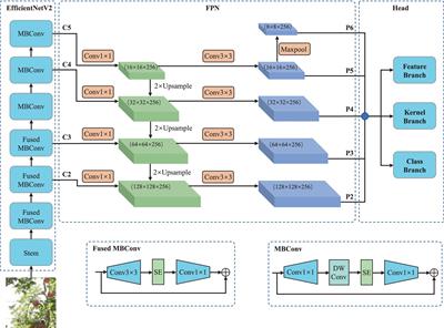 High-precision apple recognition and localization method based on RGB-D and improved SOLOv2 instance segmentation